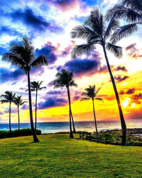 Hawaii Golf App tweet media