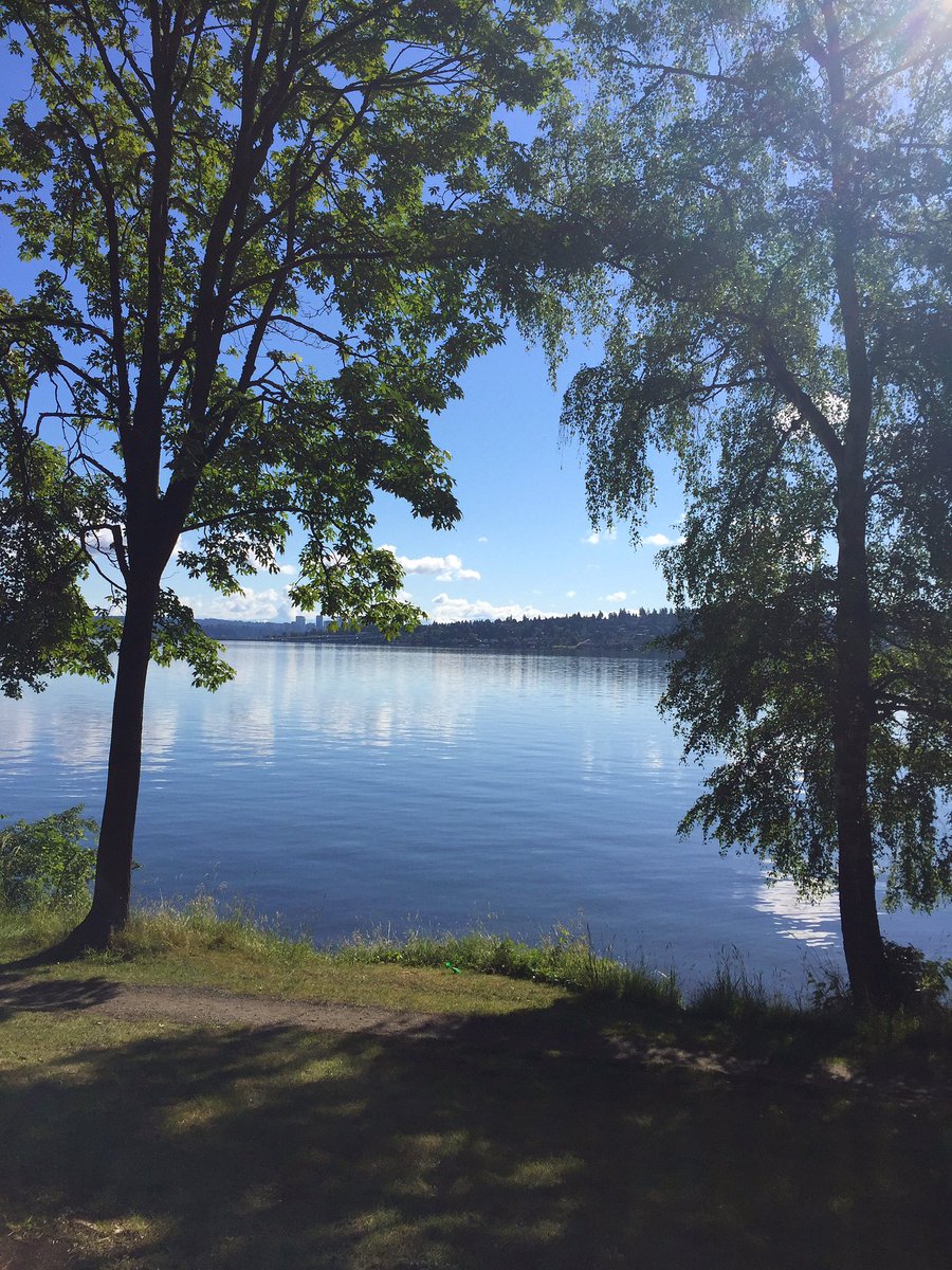 FitMomSea's tweet photo. If I lost everything, I'll always have this. #LifeLessons #nature #morningrun #Seattle https://t.co/h5mbEkknlv