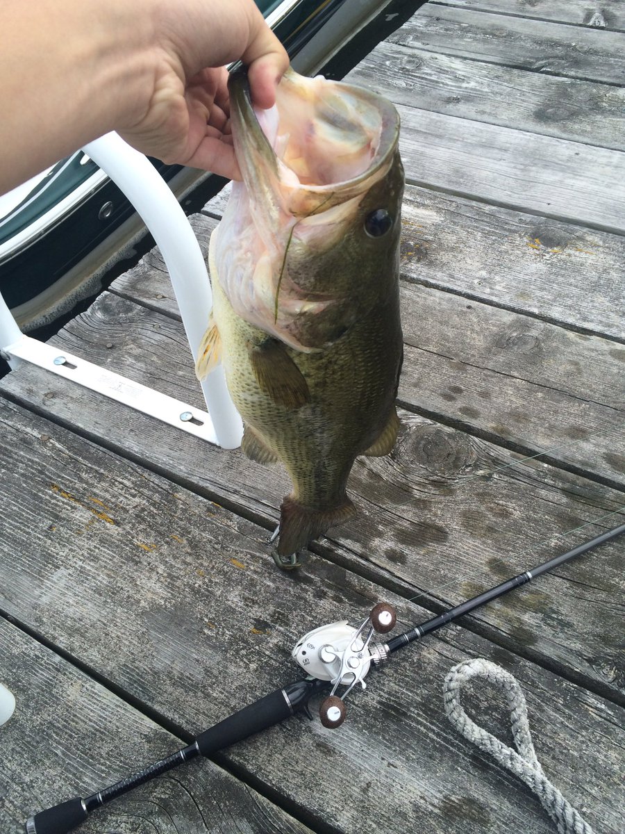 Logan Maser tweet media