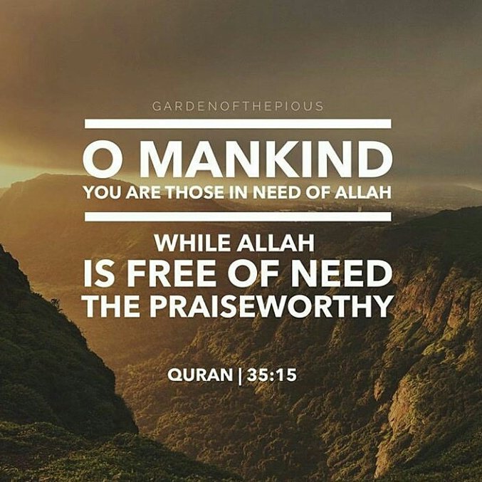 Halal_Banter's tweet photo. https://t.co/29njI23CB4