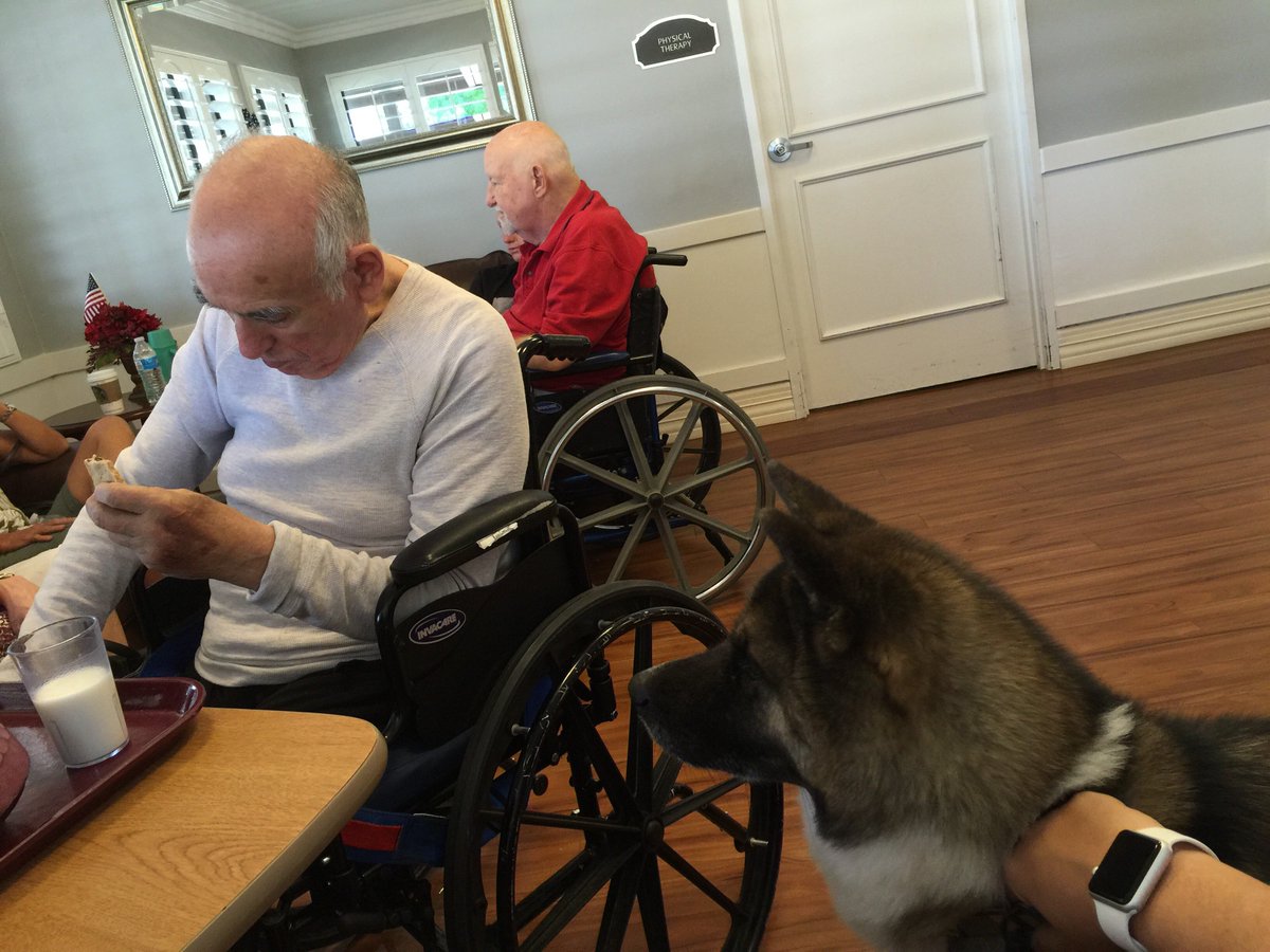 lesliegolf's tweet photo. My responsibility when dad eats cookies https://t.co/k9e8Bemy2e