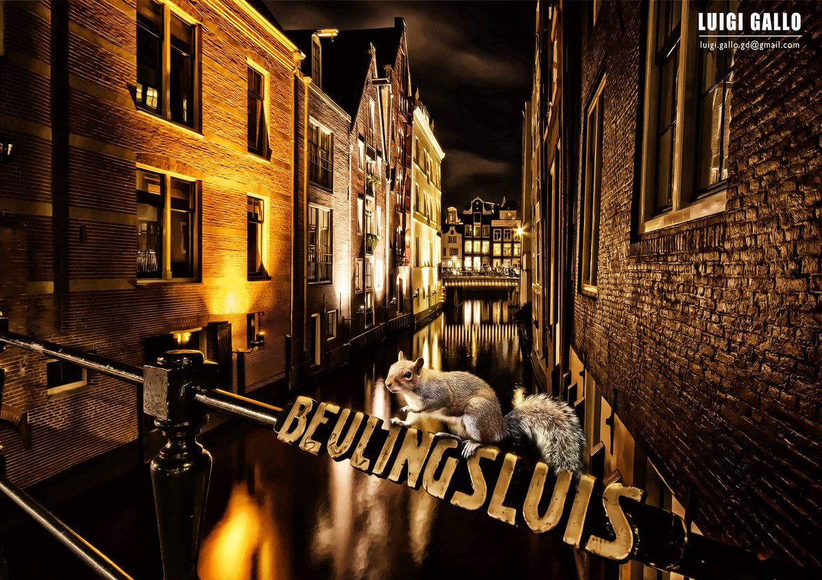 LuigiGalloGD's tweet photo. Squirrel in Amsterdam #amsterdam #twitter #photoshop #adobe #light #holland #follow #like https://t.co/Lei9RBkn4J