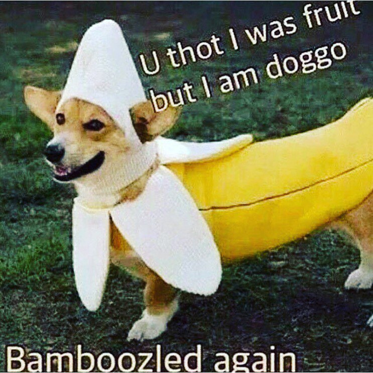 April O'Peel (@aprilopeel) on Twitter photo 