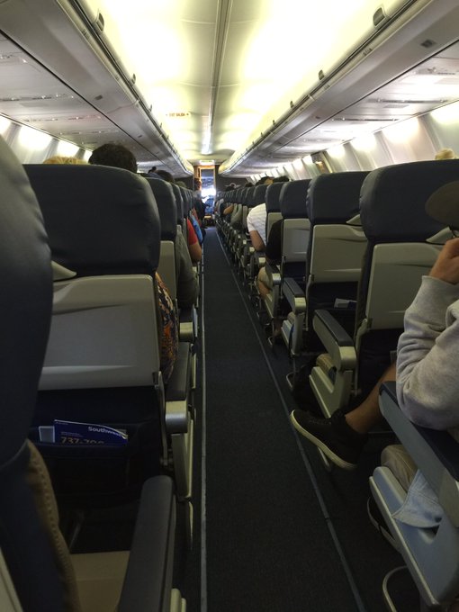 View image on Twitter