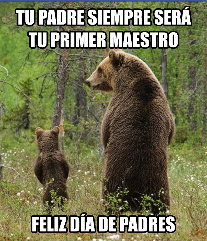 Feliz día de padres al primer maestro de nuestras vidas.