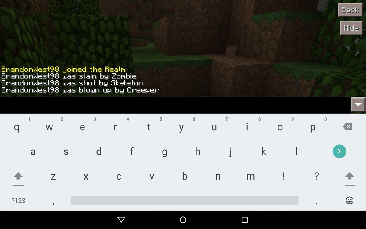 BrandonCrafter's tweet photo. #RealmsSMP is fun but i die too much https://t.co/F8XOlKDAAs