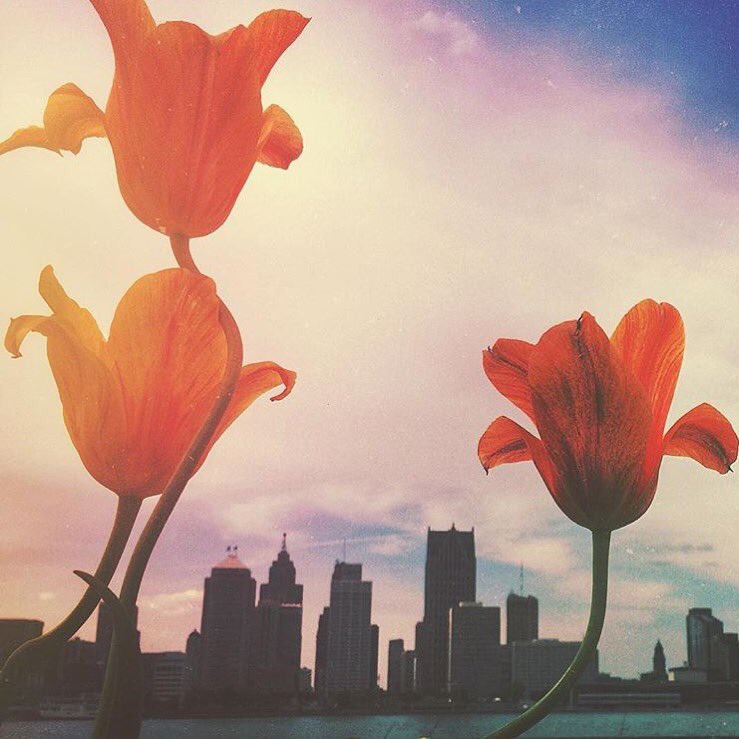 AsDetroitsOwn tweet media