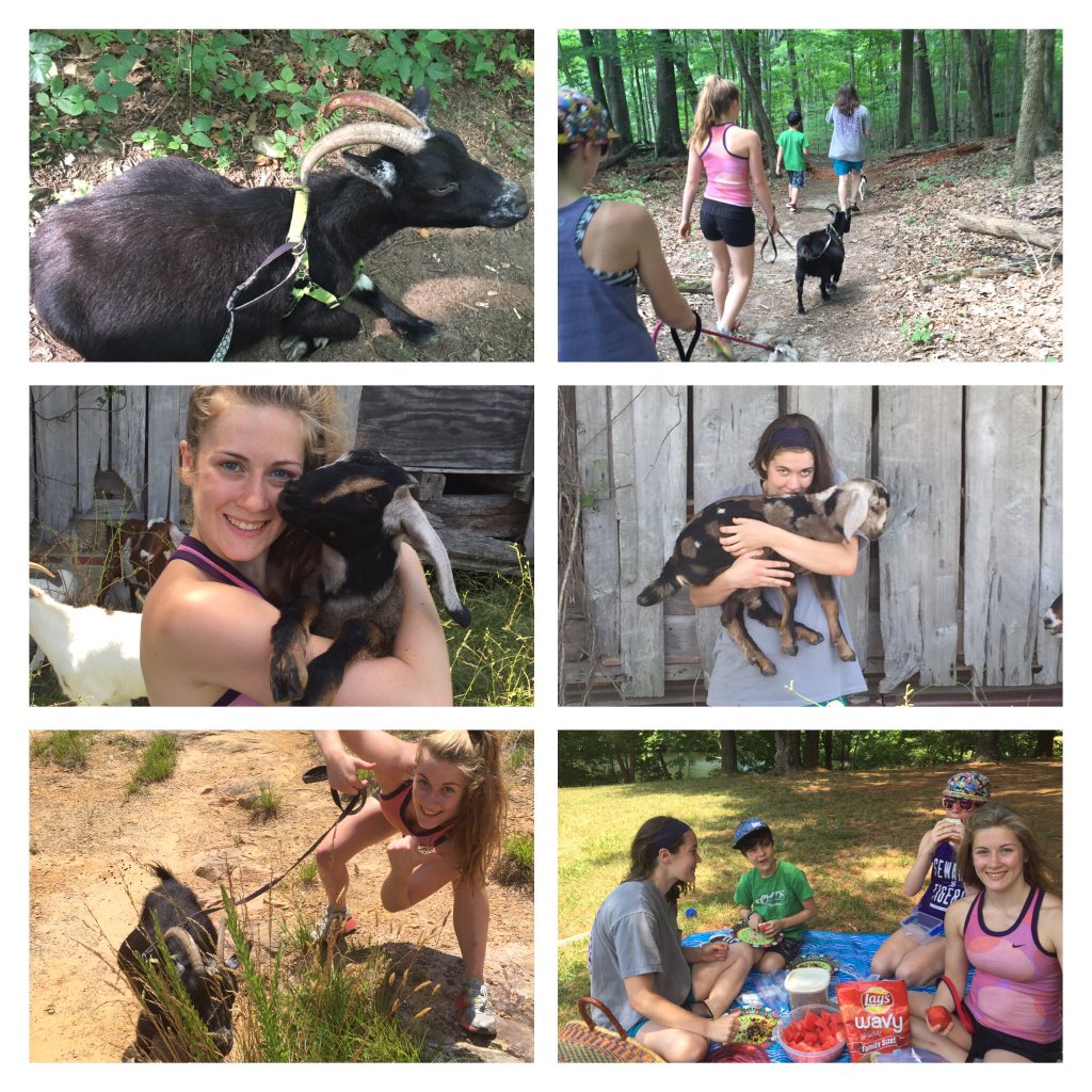 juroberts5's tweet photo. @backpackergroup sure! Fun weekend hiking in Tenn last week. https://t.co/MWoDpEAZoZ