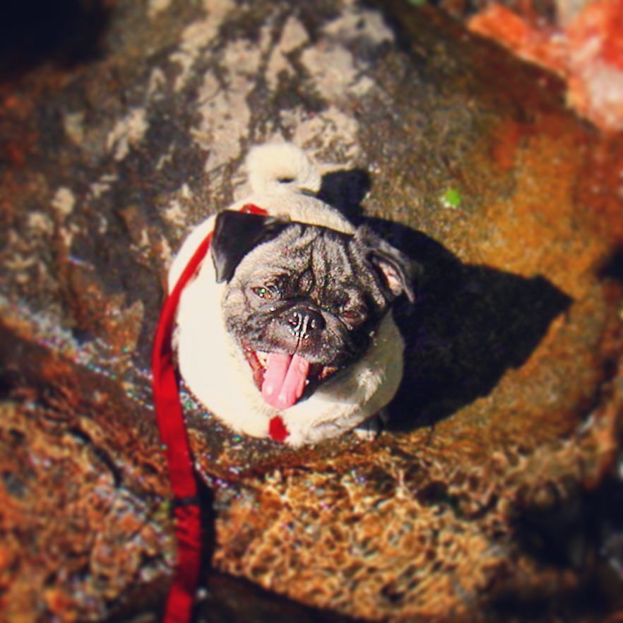 mostlypug's tweet photo. 2004. "Anywhere you go let me go too. Love me that's all I ask of you." The song that I as… https://t.co/YQJaZoR3mN https://t.co/CObikfcbbr
