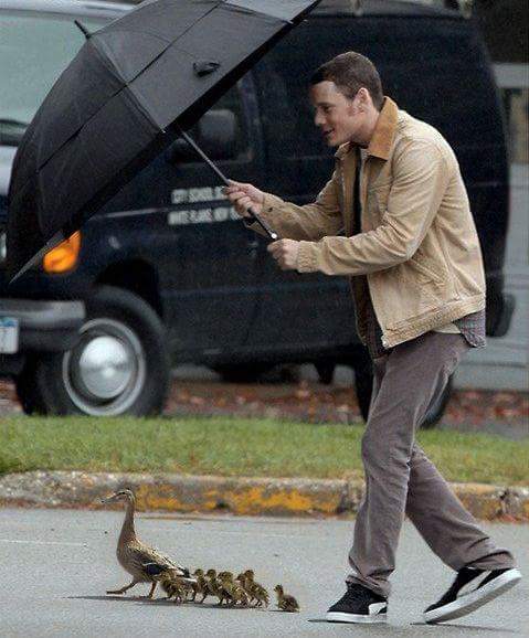 atheist_cvnt's tweet photo. Anton Yelchin, protector of ducks, too good for our horrible horrible world. https://t.co/42FkL4yTzJ