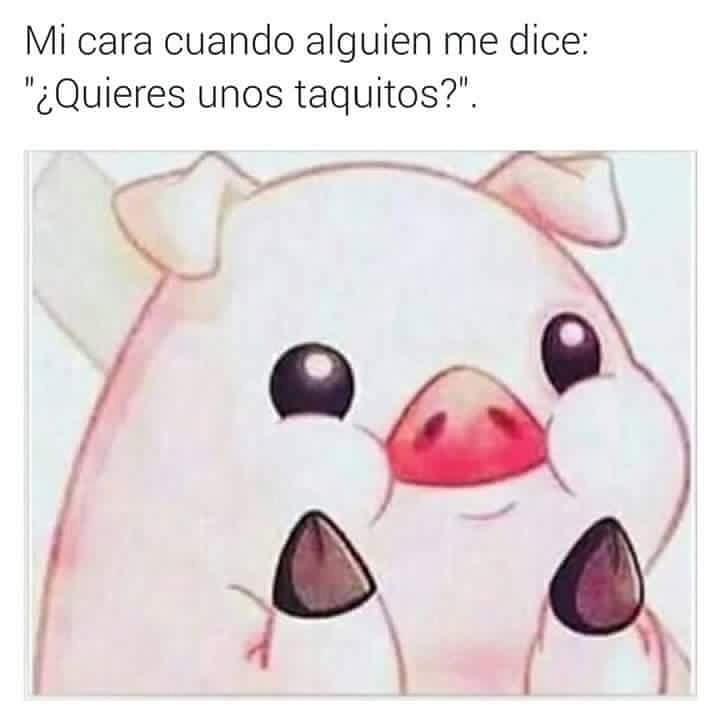 niiquu's tweet photo. #soygorda #AmoLosTacos #Inviten #SiguemeYTeSigoAlInstante 
#SIGUEMEYTESIGO 
#SiguemeYTeSigoDeVuelta https://t.co/iOxPAlKfaD
