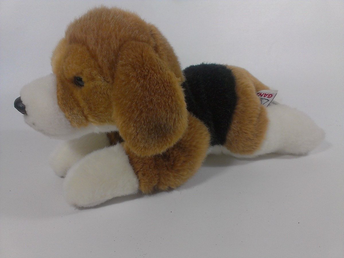 STEEL5757's tweet photo. #Webkinz #Gold Signature Beagle https://t.co/hxRaP2LPXk? #beagle #beagledogs #dogs #ilovepuppies https://t.co/YjUaY2w5Ke