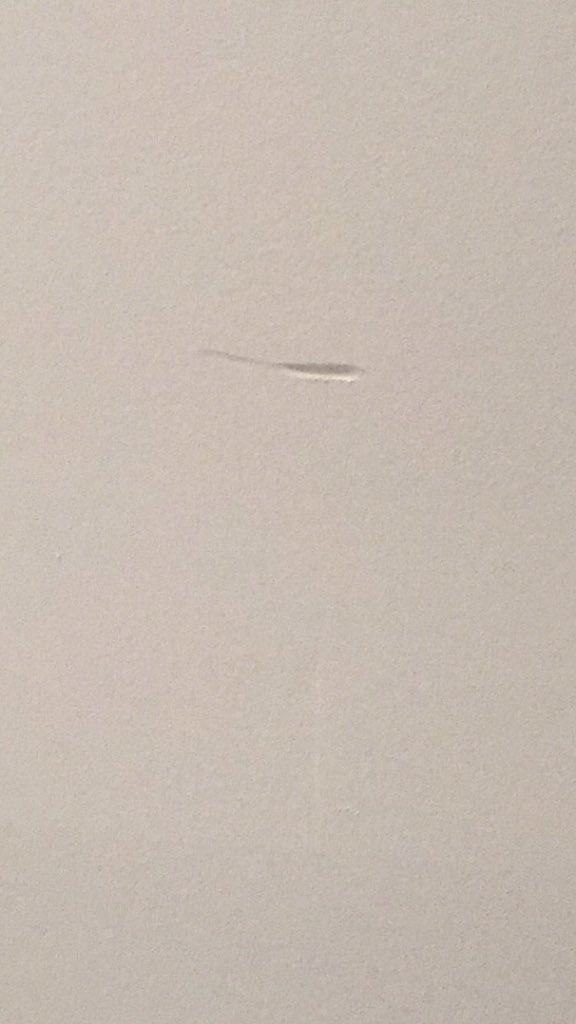 elaina_ware's tweet image. Don&apos;t spin sabre inside or you&apos;ll gash the ceiling #guardproblems