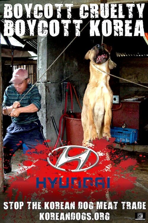 lionsvoice777's tweet photo. #NoList
#NoHyundai
#WorldDebout
#GlobalDebout
#NuitDebout
#Podemos
#NoTorture https://t.co/BVpSCLxSPg