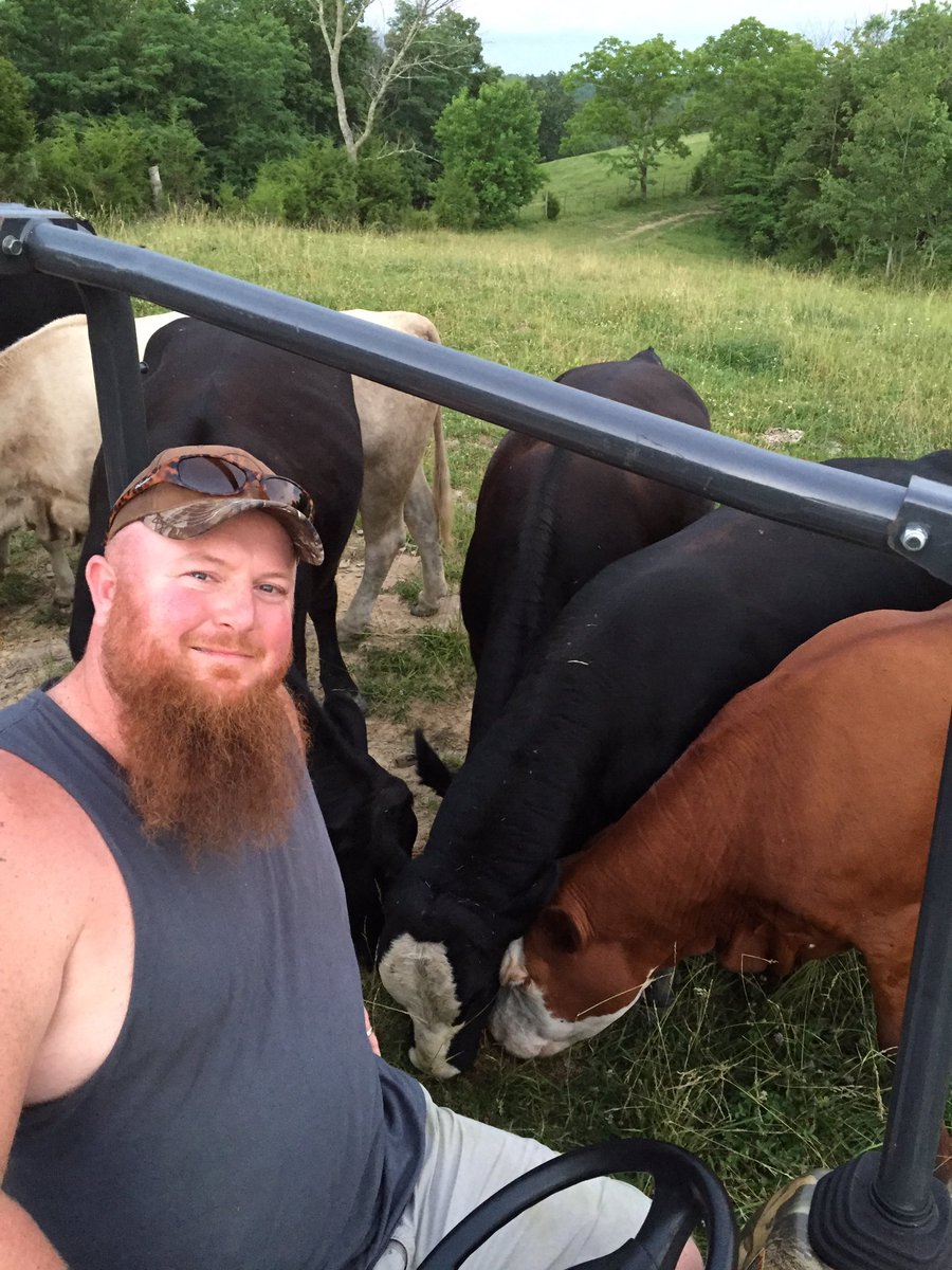 JacqalynnRiley's tweet photo. Checking cattle this fine Father's Day! #RileyFarms @KYCattle @Kybeef @usdafsa @farmcreditmid https://t.co/54yv7Lm47H