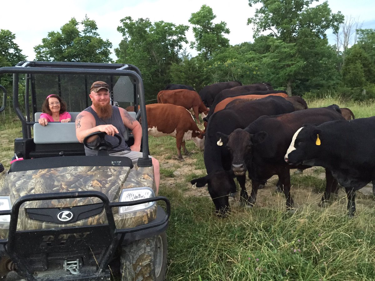 JacqalynnRiley's tweet photo. Checking cattle this fine Father's Day! #RileyFarms @KYCattle @Kybeef @usdafsa @farmcreditmid https://t.co/54yv7Lm47H