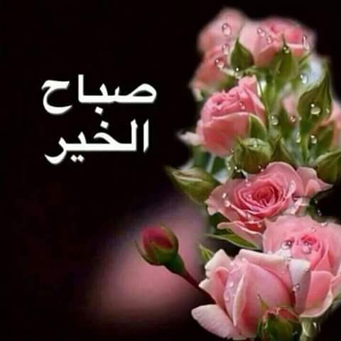 <a href="/nono94379205/">danayazan💞❤❤💕</a>