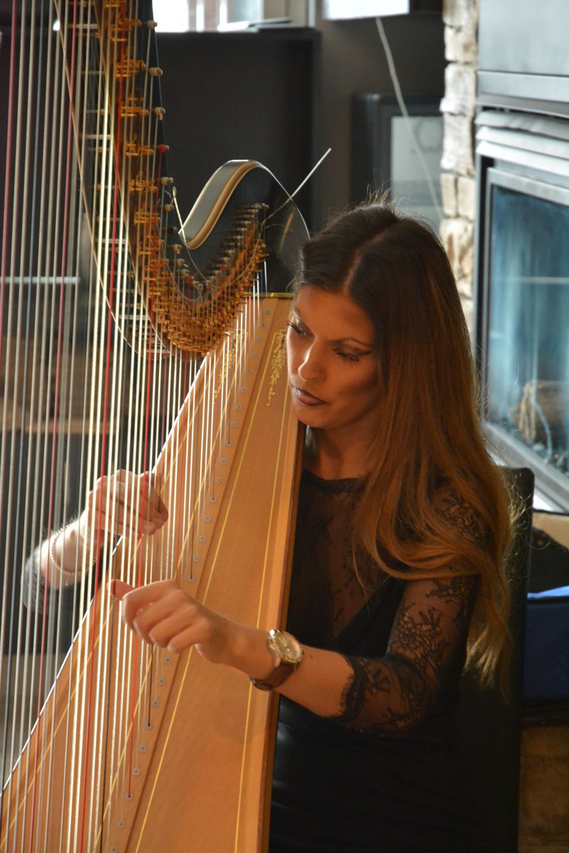 PlatesBuffet's tweet image. An #Edmonton renowned harpist graced us with some soft, eloquent music at our Grand Opening. #yegevents