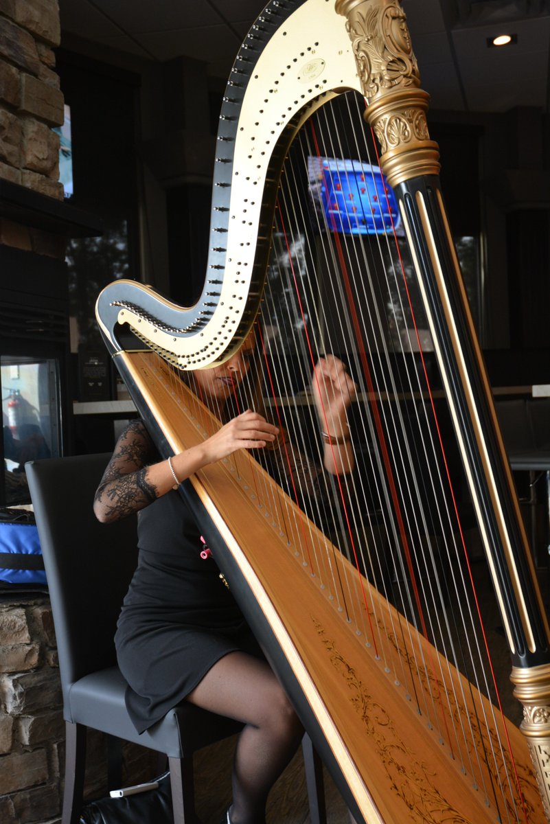PlatesBuffet's tweet image. An #Edmonton renowned harpist graced us with some soft, eloquent music at our Grand Opening. #yegevents