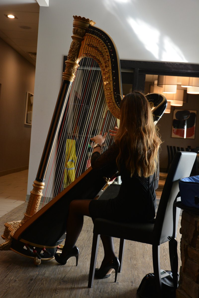 PlatesBuffet's tweet image. An #Edmonton renowned harpist graced us with some soft, eloquent music at our Grand Opening. #yegevents