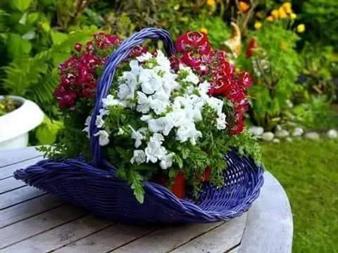 <a href="/nono94379205/">danayazan💞❤❤💕</a>