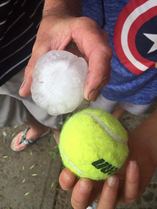 View image on Twitter