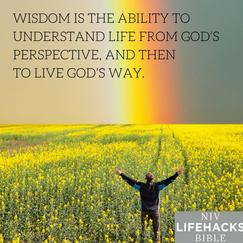 darlenelturner's tweet photo. Now available. Pick up your copy today!
#nivlifehacksbible #theblogspot @TheBlogSpotCom https://t.co/SCOMkhIA9F https://t.co/L6ZZpwYG45