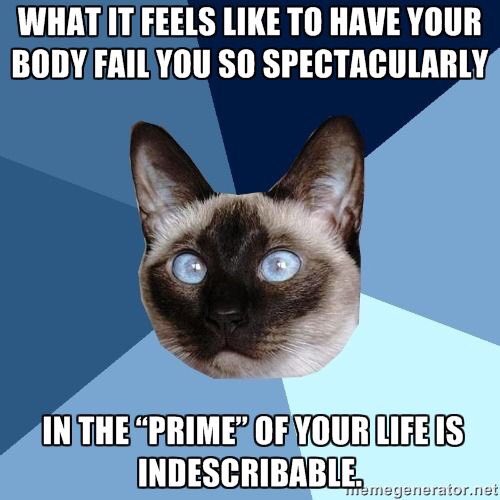 ibd_humor tweet picture