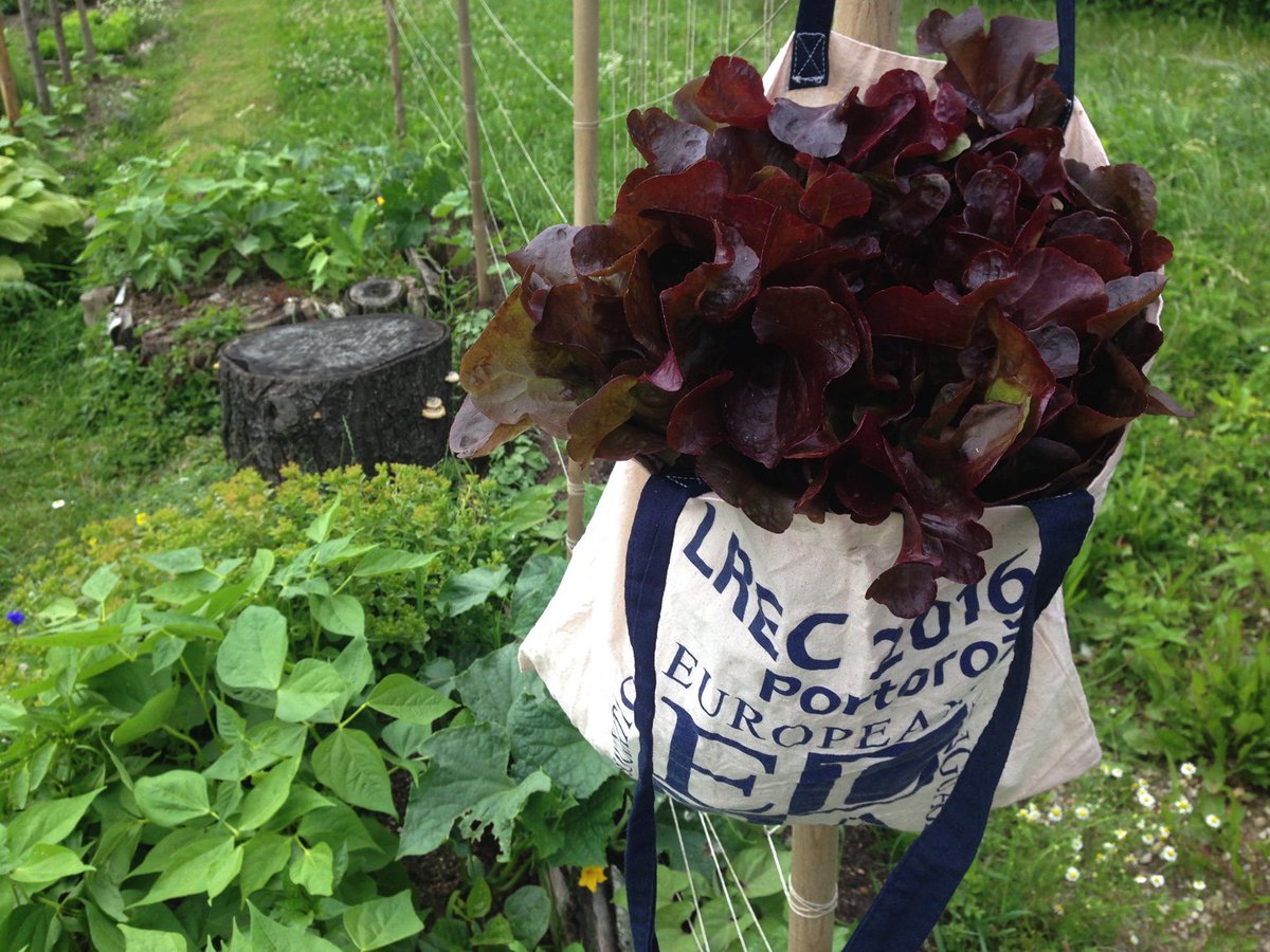 my <a href="/LREC2016/">LREC2016</a> bag full of resources