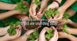 SkyWorldMy's tweet photo. Plant a heliconia at #WorldEnvironmentDay (25th June 8am) at #SkyWorldMy, #BukitJalil Park. https://t.co/B8jFv5ZLVF https://t.co/FtfH2Ugh2C