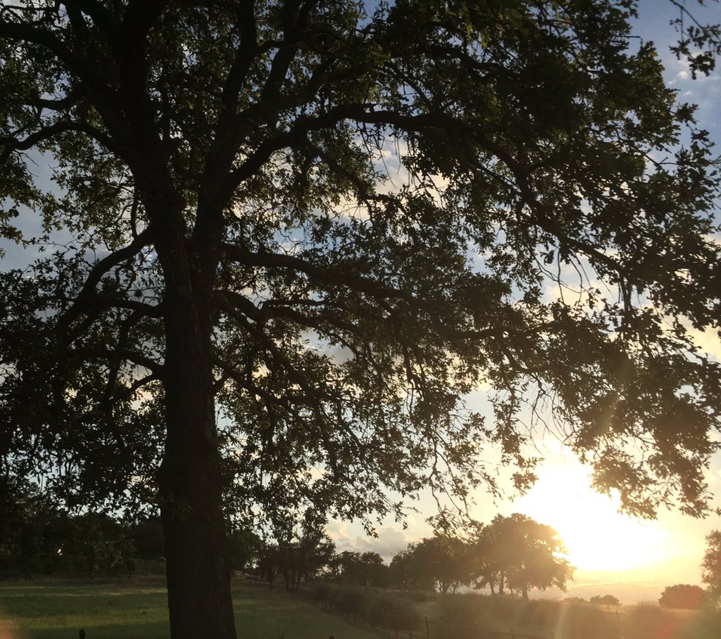 sheyliee's tweet photo. Beautiful Fredericksburg https://t.co/oEbiT968Np