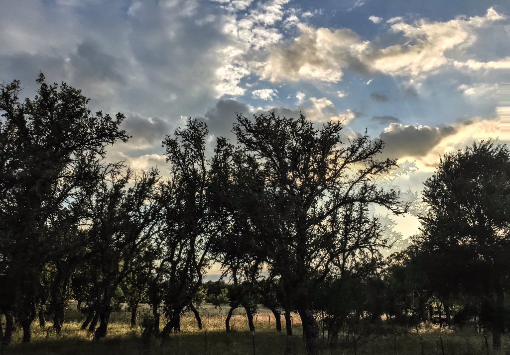 sheyliee's tweet photo. Beautiful Fredericksburg https://t.co/oEbiT968Np