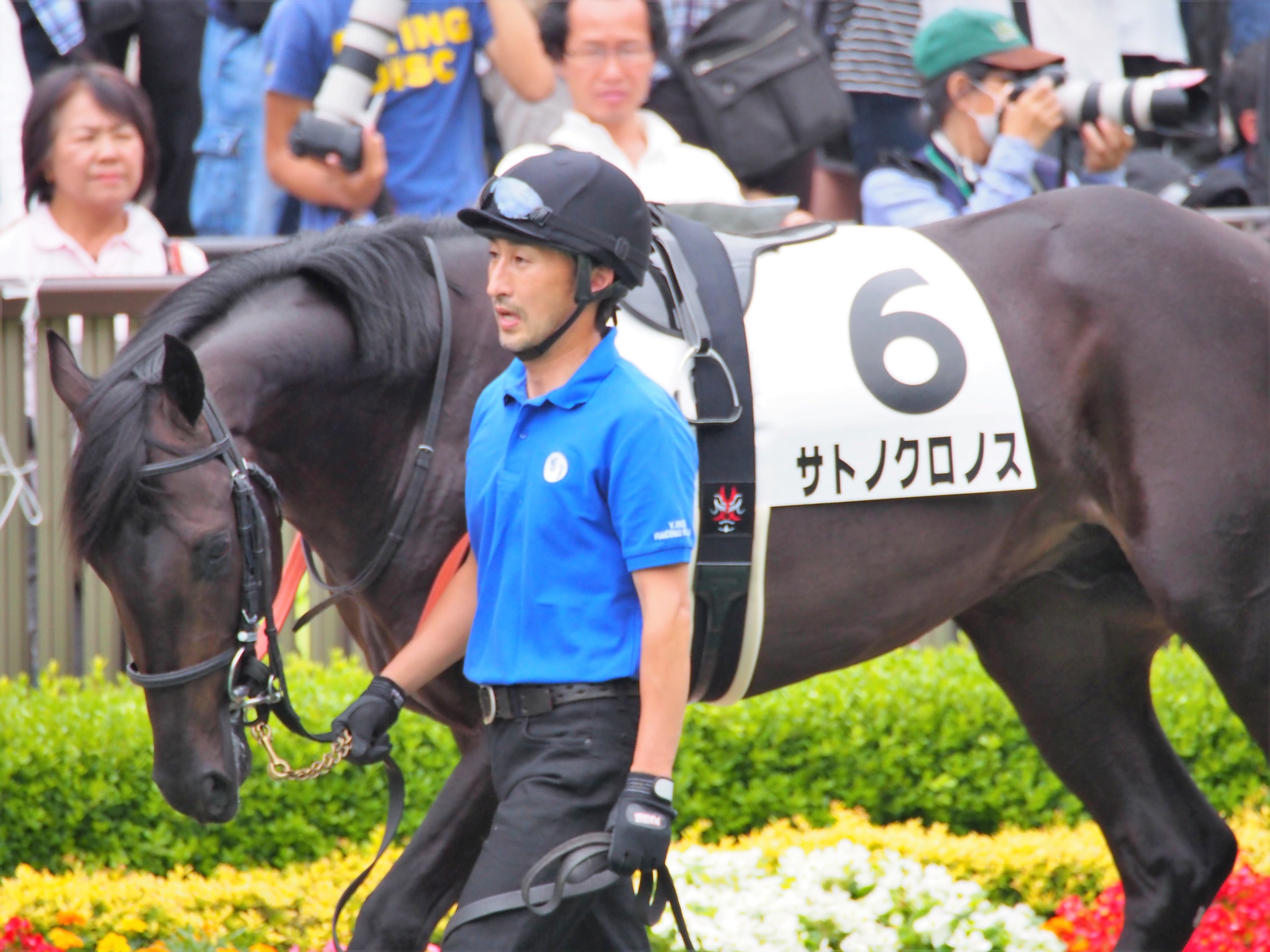 サトノクロノス Twitter Search Twitter