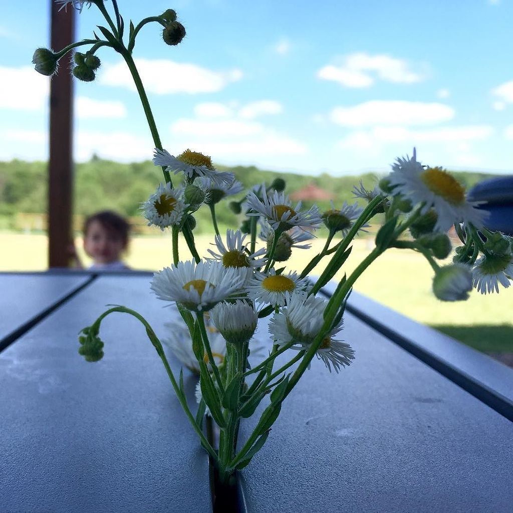 Cohen8150's tweet photo. #freshpickins https://t.co/JnWOLadySt https://t.co/y6oV0UAzVx