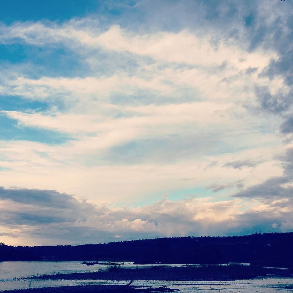 oliver_gray's tweet photo. #hellyeahpg #pgcutbanks #pgbc #princegeorgebc #hellobc #pgtourism #princegeorgetourism #ci… https://t.co/maANllAsLr https://t.co/nLYjuFbX5w