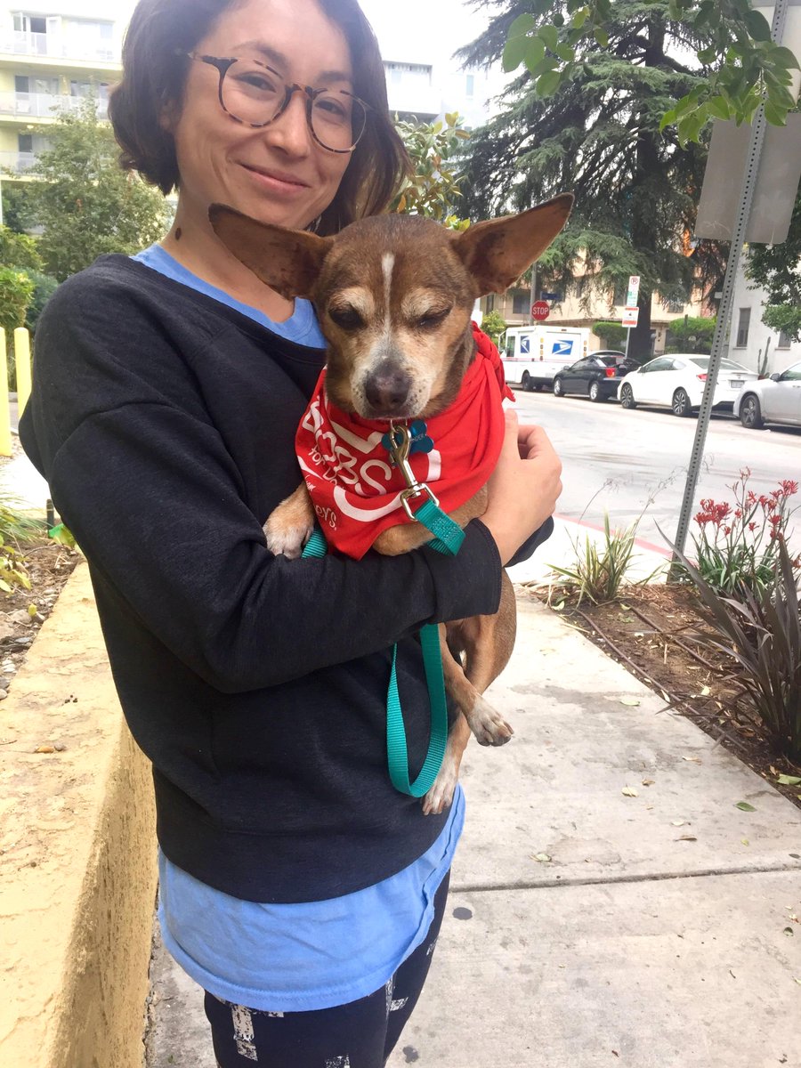 pulseanimals's tweet photo. My neighbor just adopted this little guy. He's completely blind. Meet Stevie Wonder. https://t.co/Mg8gVUhd0N