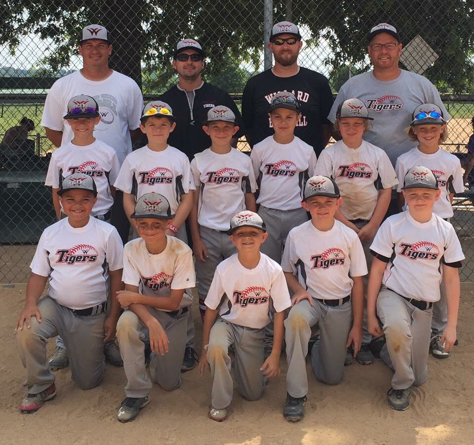 WillardTigersYouthBaseball tweet media