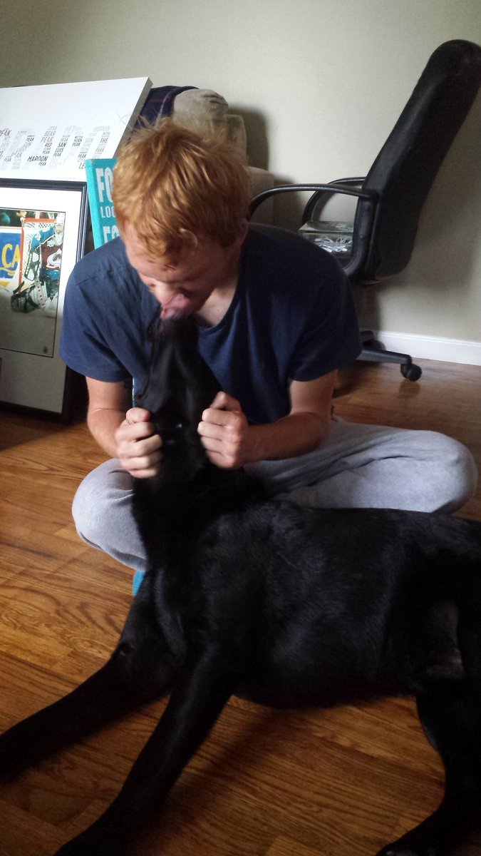 Dillon Barr tweet media