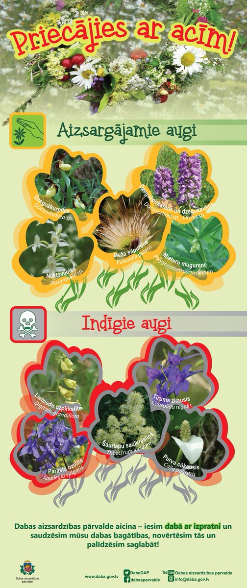 Dabas aizsardzības pārvalde tweet media