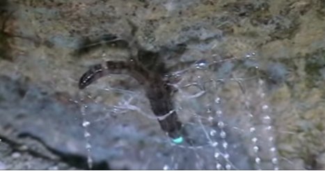 Net1Fun's tweet photo. Quest'uomo ha passato un anno in una grotta. Nessuno credeva a quello che ... - https://t.co/nZ6Qf4Byws - https://t.co/DpUvACGKC6
