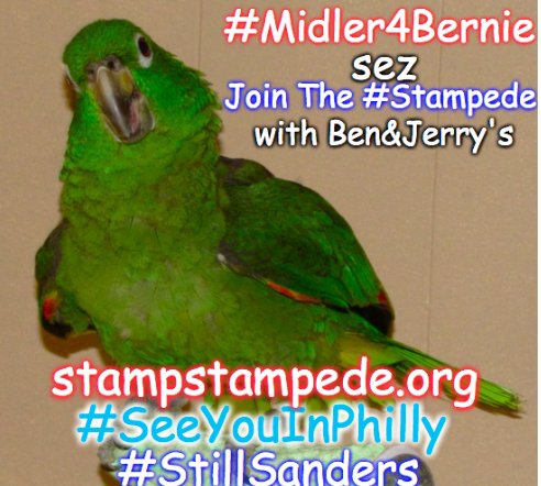 aerwaves_'s tweet photo. @SilERabbit @SandieBurners https://t.co/uRY7pPpibh #SeeYouInPhilly @teachers4bernie #Midler4Bernie https://t.co/8HSIMqaVcf