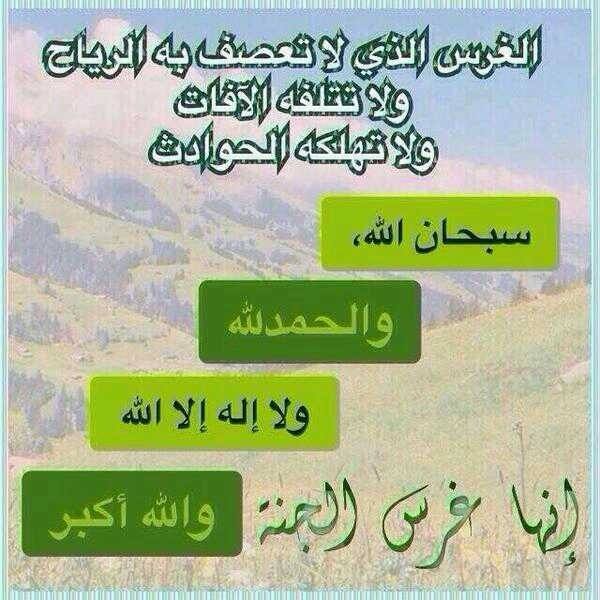 و س ار ع وا إ ل ى م غ ف ر ة م ن ر ب ك م و ج ن ة ع ر ض ه ا