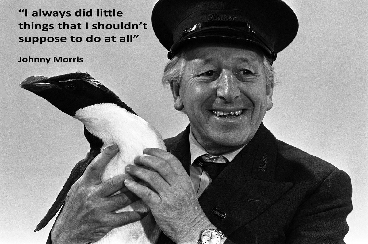 OTD 1916: Legendary Animal Magic presenter Johnny Morris was born. Click  the image for a quote from the man himself, image size:1200x797