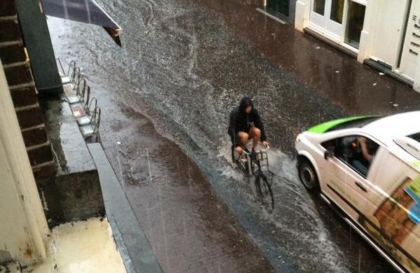 OneWorld_Water's tweet image. Regen, regen, regen vandaag. Hoe ga je met al dat water om? Van probleem tot oplossing: oneworld.nl/rainproof-rave…