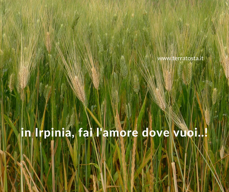 ci sono cose che conviene sapere ... #irpinia #cibogenuino #amore