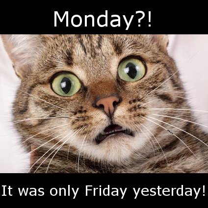 Wadworth's tweet photo. Do we all feel like this today? We've got the big #eng game to look forward to later tho! #fullofOptimism #euro2016 https://t.co/KizWjqxuA6