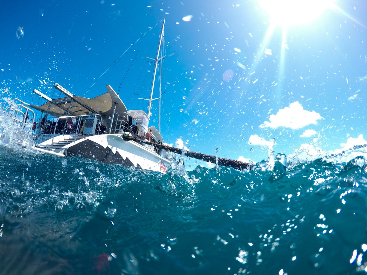 Like A Fish In The Sea. 
71% Discount for Basic GoPro Kit: amazon.com/gp/product/B00…