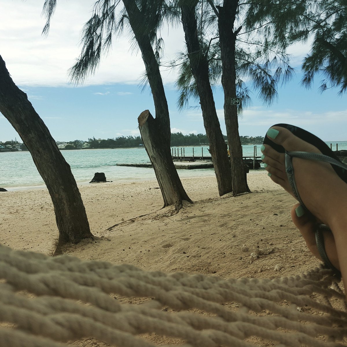 hashtagjozi's tweet photo. #Mauritius360 #MondayBlues #ICouldDoThisEveryMonday @mauritiusza @IleDesDeuxCocos https://t.co/0IF9ODy8XX