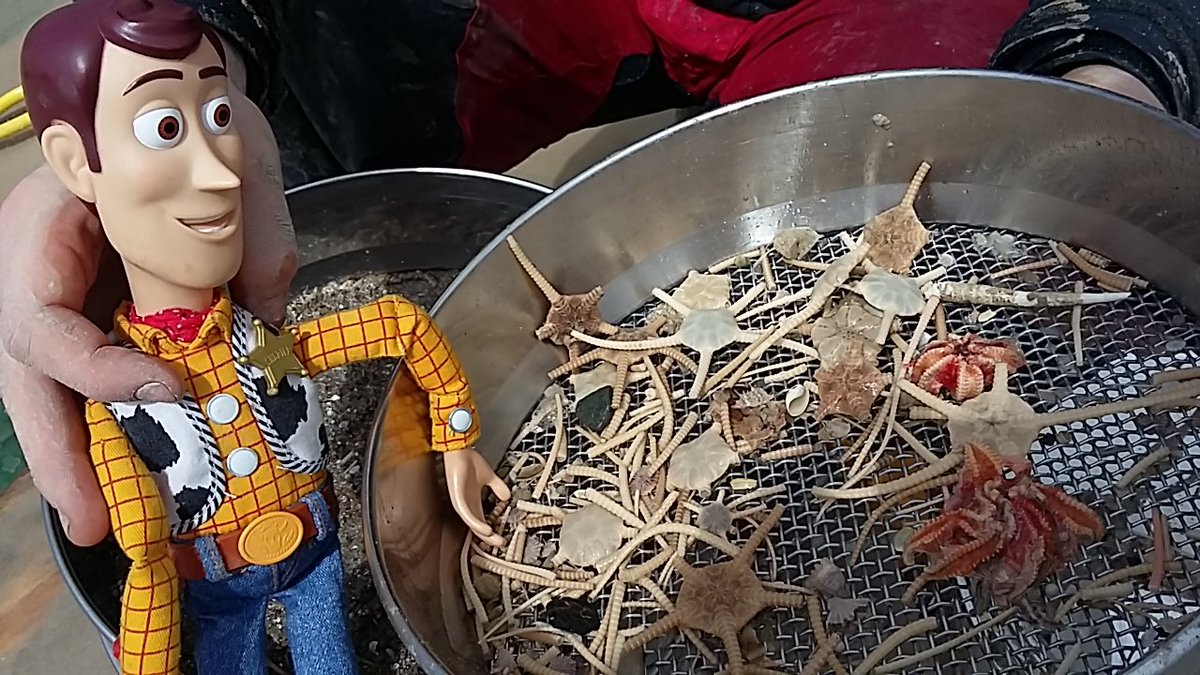 ClareEmbling's tweet photo. And some deep sea mud fun on the kids blog- mud glorious mud: https://t.co/GnUDNeLgkM #AtlanticObs @_deeplinks https://t.co/gp4N1LnyTv