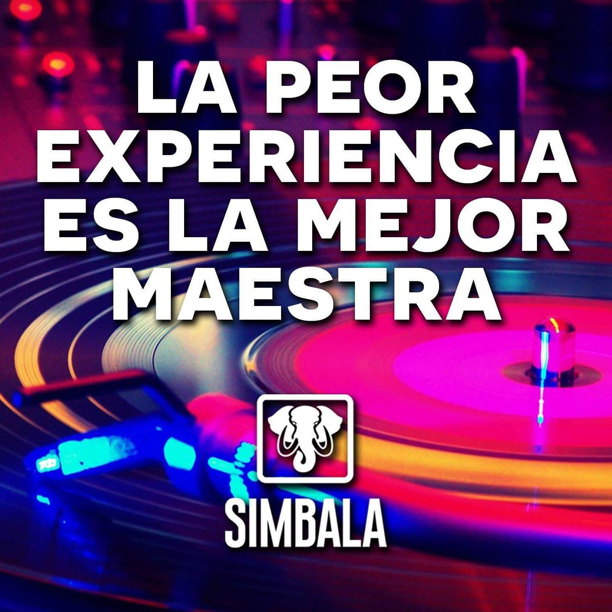 Sala Simbala tweet media